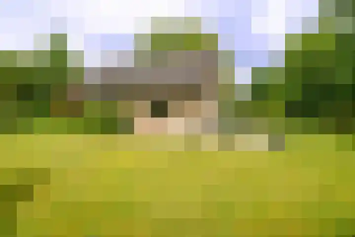 Beek en Brink 31 Zorgvlied thumbnail 21