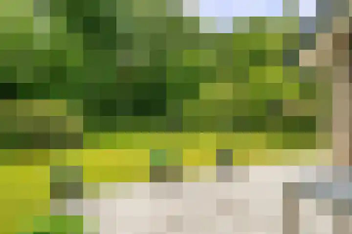 Beek en Brink 31 Zorgvlied thumbnail 22