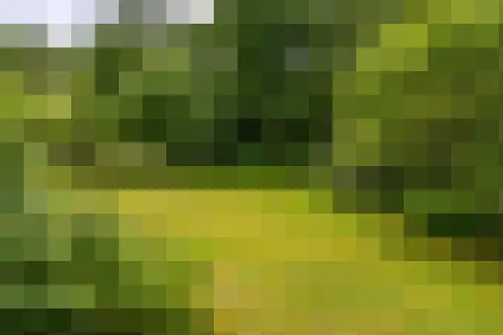 Beek en Brink 31 Zorgvlied thumbnail 23