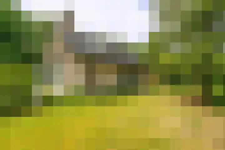Beek en Brink 31 Zorgvlied thumbnail 25
