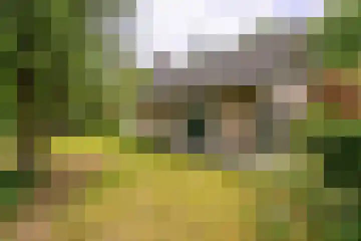 Beek en Brink 31 Zorgvlied thumbnail 26