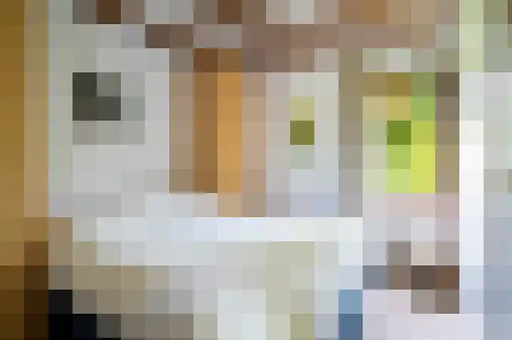 Beek en Brink 31 Zorgvlied thumbnail 4