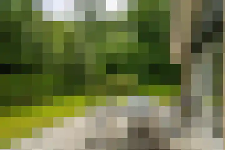 Beek en Brink 31 Zorgvlied thumbnail 5