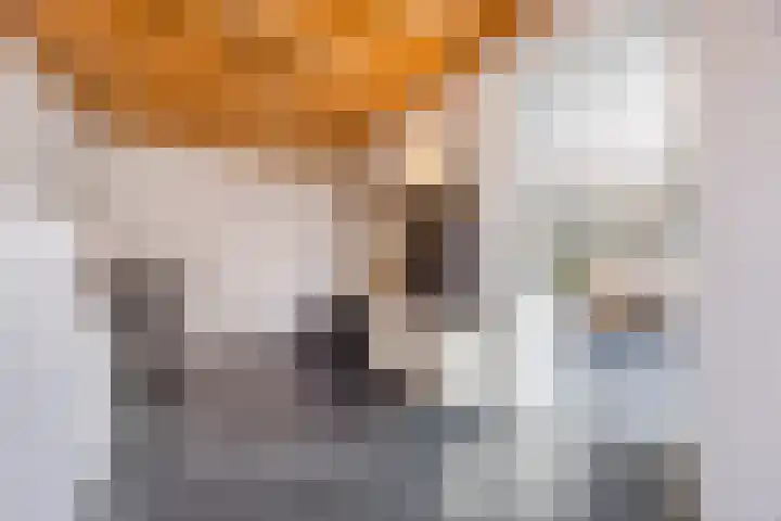 Beekdal 29 Vianen NB thumbnail 13