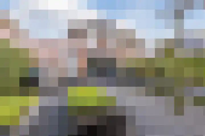 Beekdal 29 Vianen NB thumbnail 30