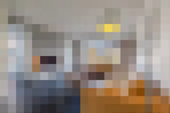 Beekdal 29 Vianen NB thumbnail 7