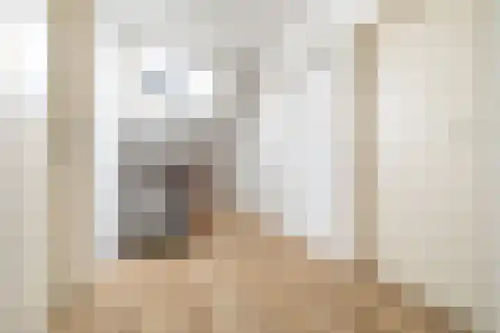 Beekdal 7 Ulvenhout thumbnail 21