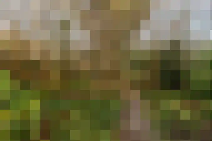 Beekdal 7 Ulvenhout thumbnail 37