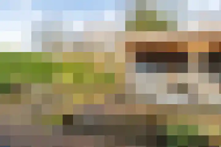 Beekdal 7 Ulvenhout thumbnail 4