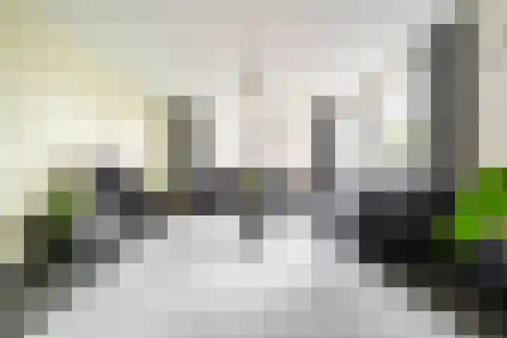 Beekdal 7 Ulvenhout thumbnail 9