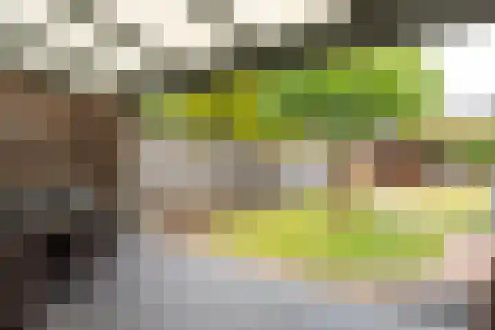 Beekerstraat 20 Beek thumbnail 36
