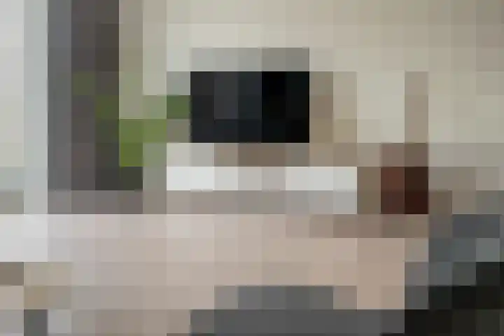 Beekforel 12 Rossum thumbnail 20