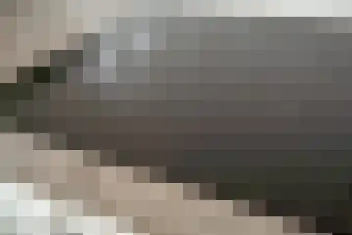 Beekforel 12 Rossum thumbnail 27