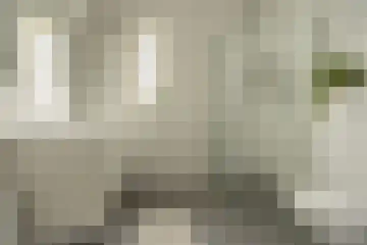 Beekforel 12 Rossum thumbnail 38