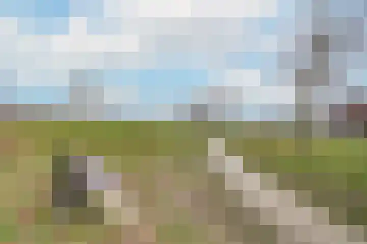 Beekforel 12 Rossum thumbnail 5