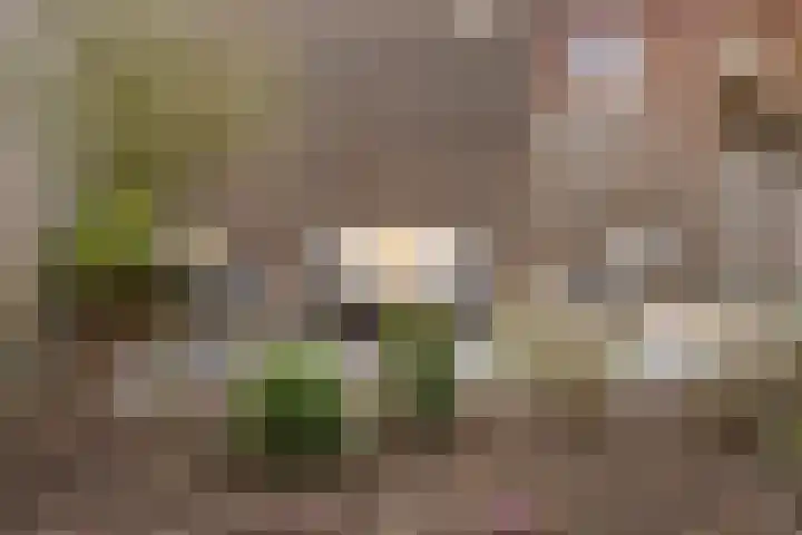 Beekforel 12 Rossum thumbnail 9