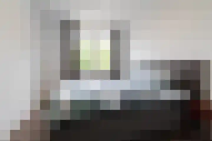 Beekgraafstraat 21 Veghel thumbnail 17