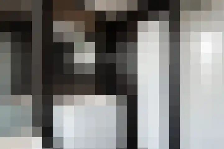 Beekgraafstraat 21 Veghel thumbnail 21
