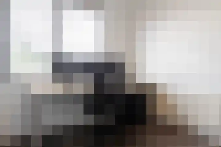 Beekgraafstraat 21 Veghel thumbnail 27