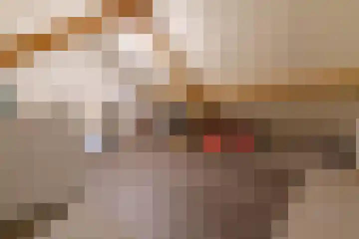 Beekgraafstraat 21 Veghel thumbnail 30