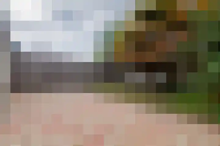 Beekgraafstraat 21 Veghel thumbnail 33