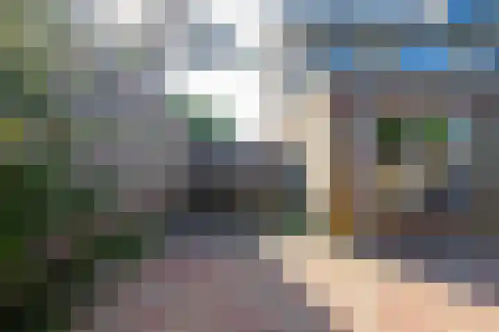 Beekgraafstraat 21 Veghel thumbnail 34