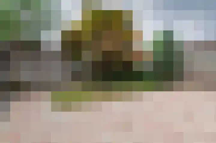 Beekgraafstraat 21 Veghel thumbnail 35