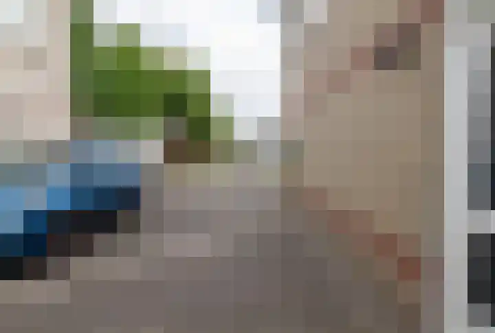 Beekgraafstraat 21 Veghel thumbnail 39