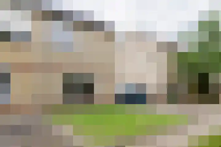 Beekgraafstraat 21 Veghel thumbnail 40