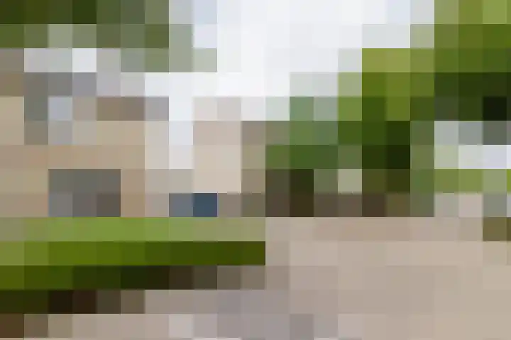 Beekgraafstraat 21 Veghel thumbnail 41