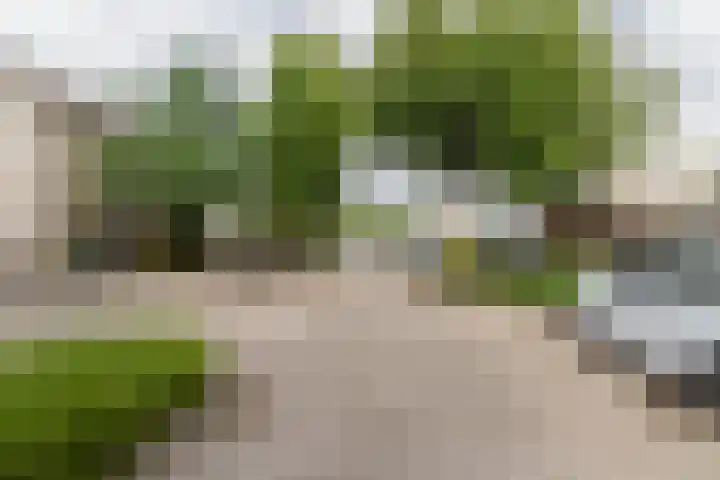 Beekgraafstraat 21 Veghel thumbnail 42