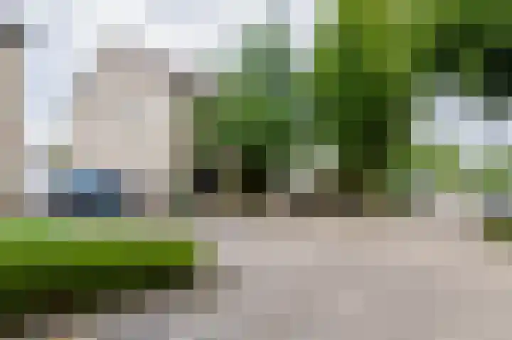 Beekgraafstraat 21 Veghel thumbnail 43