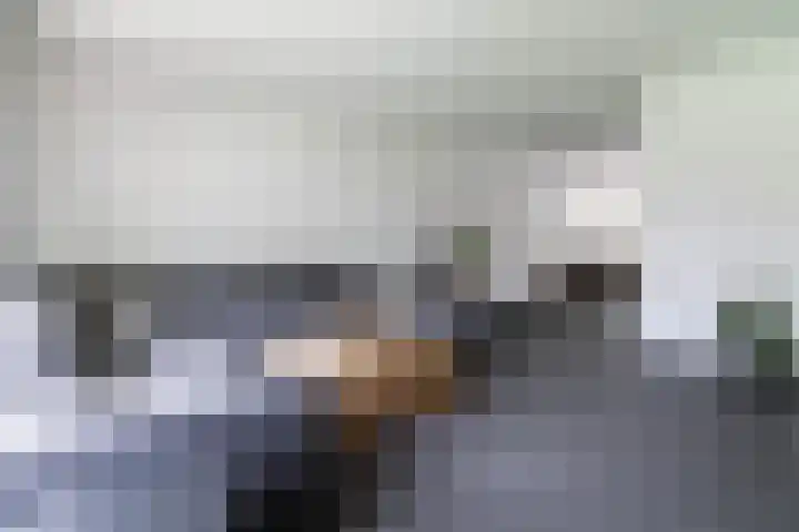 Beekgraafstraat 21 Veghel thumbnail 5