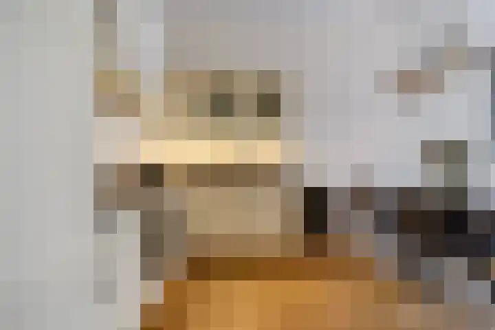 Beeklaan 177 Den Haag thumbnail 12