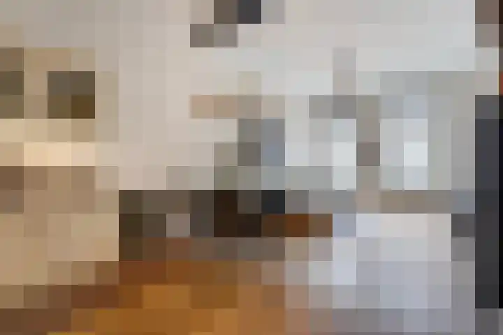Beeklaan 177 Den Haag thumbnail 9
