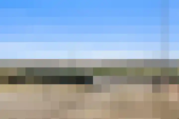 Beeklaan 4 De Zilk thumbnail 10