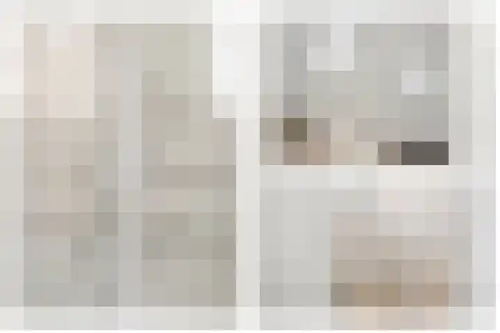 Beeklaan 4 De Zilk thumbnail 5