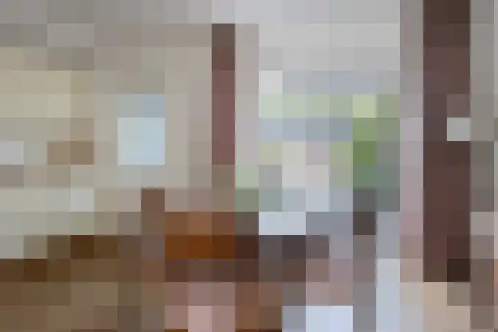 Beeklaan 44 Tilburg thumbnail 13