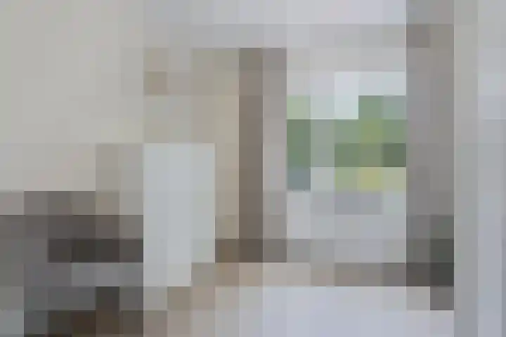 Beeklaan 44 Tilburg thumbnail 27