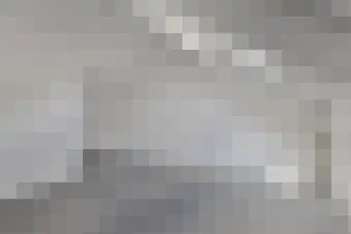 Beeklaan 44 Tilburg thumbnail 32