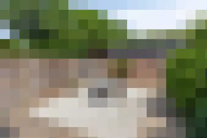 Beeklaan 44 Tilburg thumbnail 35