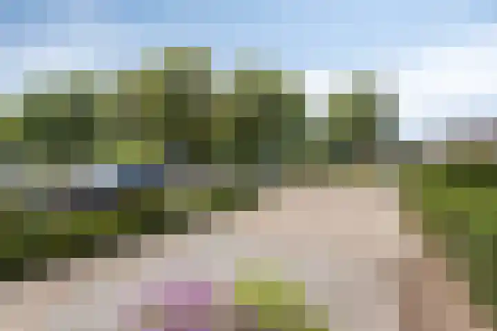 Beeklaan 44 Tilburg thumbnail 42
