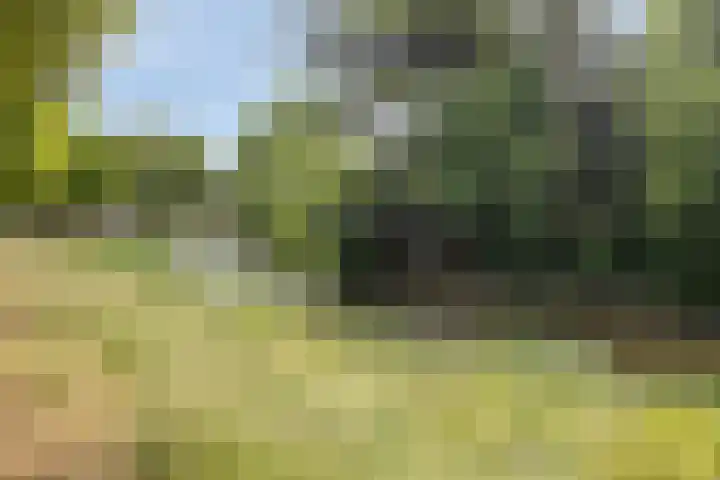 Beeklaan 44 Tilburg thumbnail 44