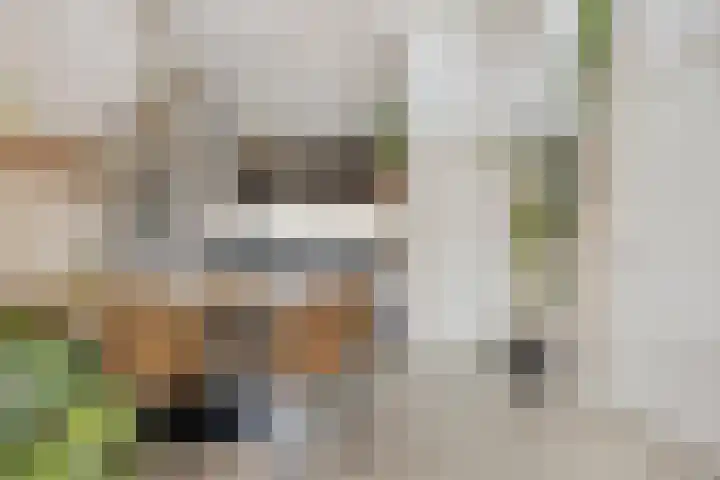 Beeklaan 6 Aalten thumbnail 7