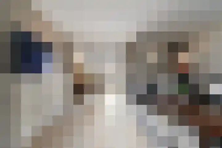 Beeklaan 7 Tilburg thumbnail 12