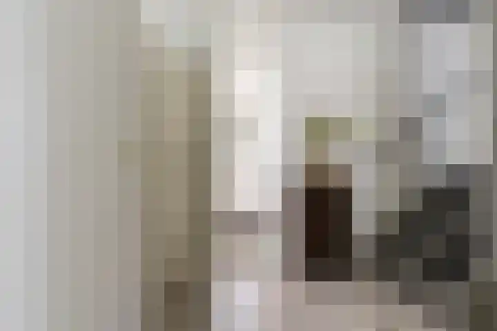 Beeklaan 7 Tilburg thumbnail 29