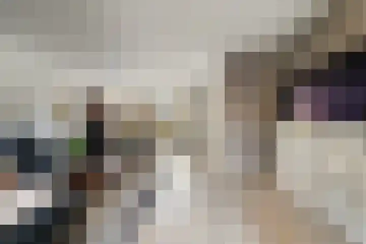 Beeklaan 7 Tilburg thumbnail 4
