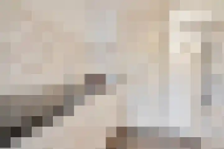 Beeklaan 82 Tilburg thumbnail 15