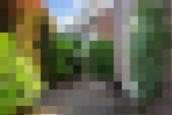 Beeklaan 82 Tilburg thumbnail 23