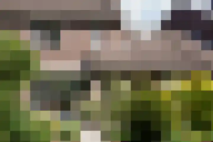 Beeklaan 82 Tilburg thumbnail 26